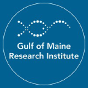 Gulf of Maine Research Institute logo
