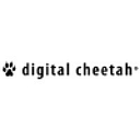 Digital Cheetah logo