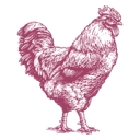 PCC Natural Markets - Fremont logo