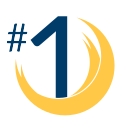 Phoenix Elementary School District #1 logo