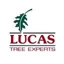 Lucas Tree Experts logo
