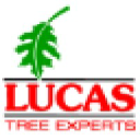 Lucas Tree Experts logo