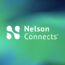 Nelson Staffing logo