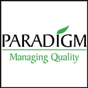 Paradigm Services Pvt logo