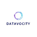 Datavocity Network Holdings LLC logo