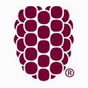 Dewberry logo