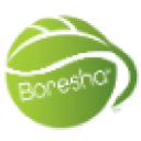 Boresha International logo
