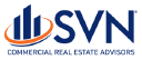 SVN International logo