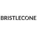 Bristlecone logo