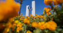 California State University, Fullerton logo