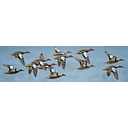 U.S. Fish and Wildlife Service logo