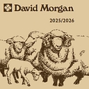 David Morgan logo