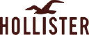 Hollister Co. logo