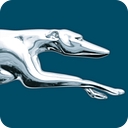 Greyhound Bus logo