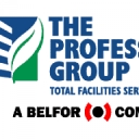 The Professional Group logo