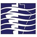 Pacific Shipyards International logo