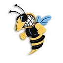 Dallas County High School logo